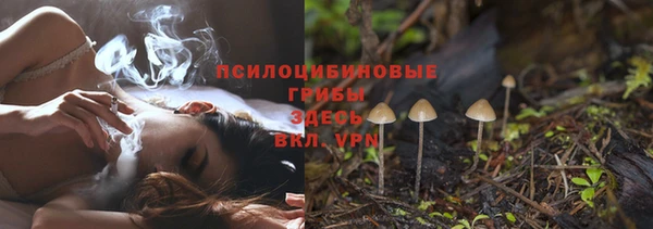 гашик Абинск