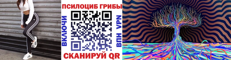 Галлюциногенные грибы мицелий  Красноуфимск 